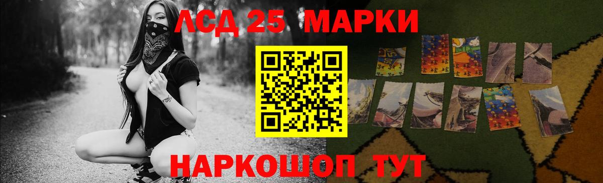 LSD-25 экстази кислота  Новозыбков  ЛСД экстази кислота 