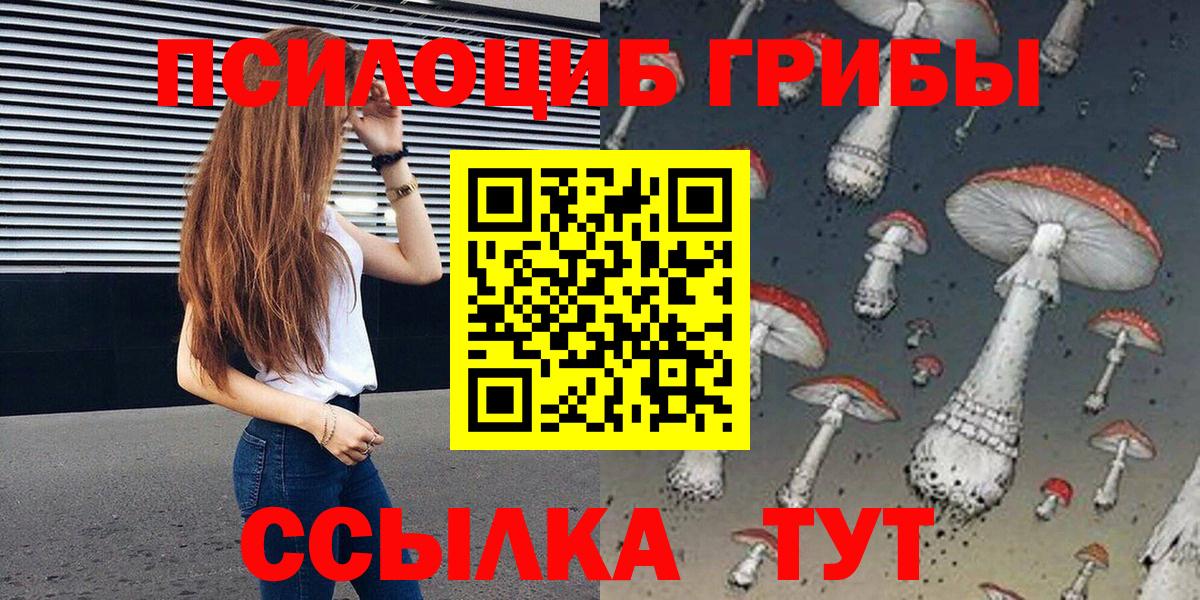 Псилоцибиновые грибы Psilocybe Новозыбков