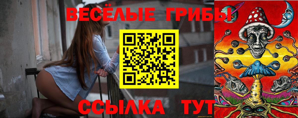 Псилоцибиновые грибы Psilocybe  хочу наркоту  Новозыбков 