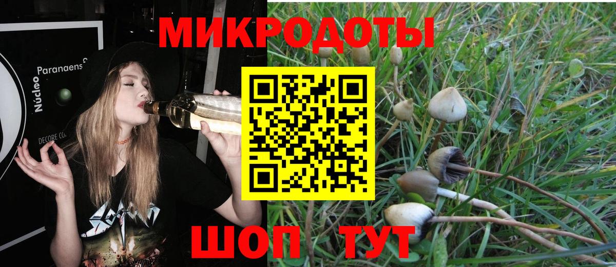 Новозыбков  Галлюциногенные грибы Psilocybine cubensis  Вход с VPN  Галлюциногенные грибы Magic Shrooms 