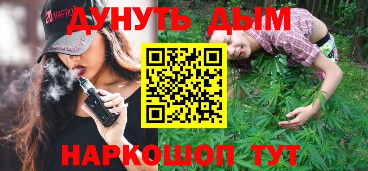 Шишки марихуана конопля  Конопля гибрид  Новозыбков  Вход с VPN 